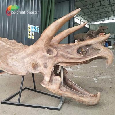 ISO 발수제 공룡 골자 복제물 화석 생명 크기 트리케라톱스 두개골