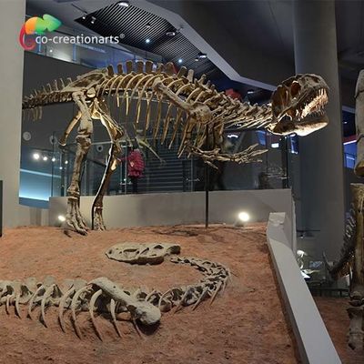 주문 landscape decoration Outdoor Yangchuanosaurus Skeleton Dinosaur Replica Fossil online manufacture