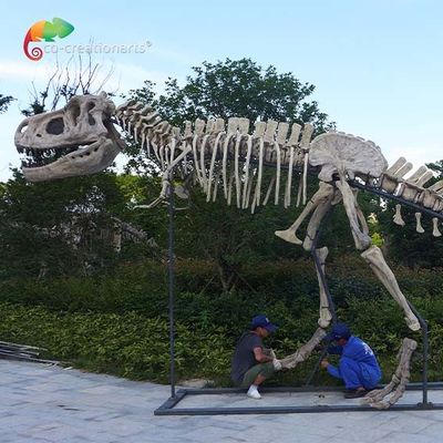 주문 길이 15m 박물관 질 공룡 복제물 티렉스 두개골 발수제 online manufacture