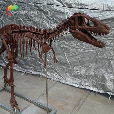 주문 특정 개인 앞 특화 공룡 뼈 복제물 티렉스 두개골 복제물 online manufacture