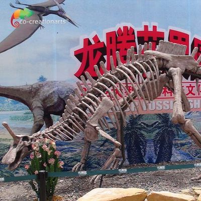선프로어브 공원 장식 공룡 화석 복제물 생명 크기 트스인타오사우루스 골자