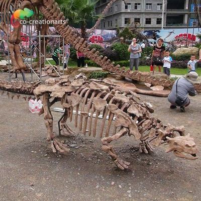 선프로어브 공원 장식 공룡 골자 복제물  생명 크기