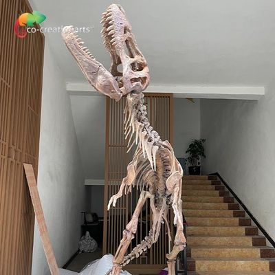 주문 박물관 전시를 위한 방수 섬유 유리 공룡 골자 복제물 online manufacture