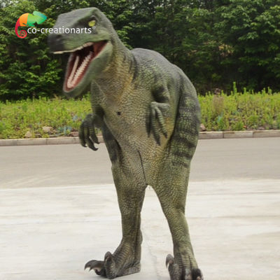주문 1.7m 애니마트론 공룡 베로시라프터 의상 현실적인 online manufacture